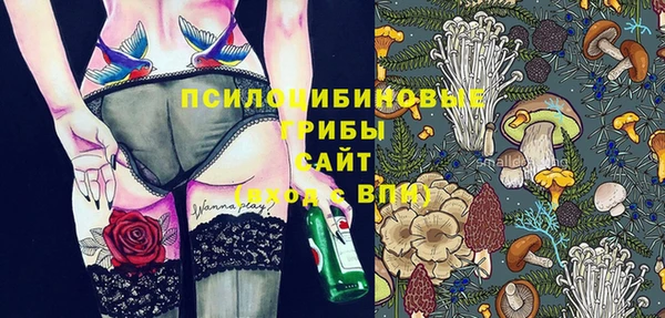 дурь Алексин
