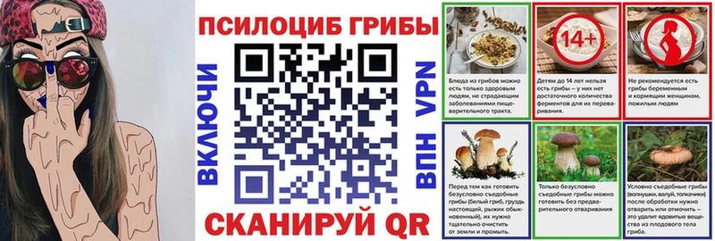 продажа наркотиков  Оленегорск  Галлюциногенные грибы Cubensis 